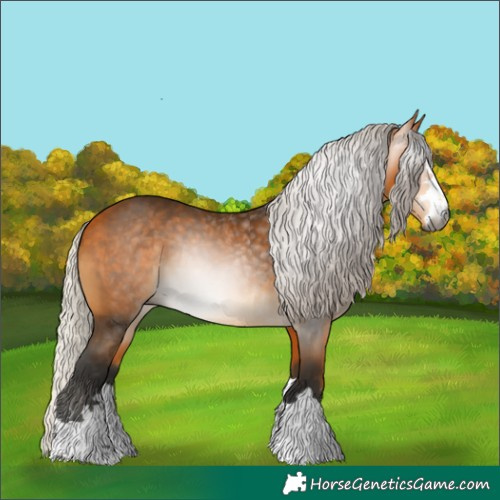 Horse Color:Gray Silver Buckskin 