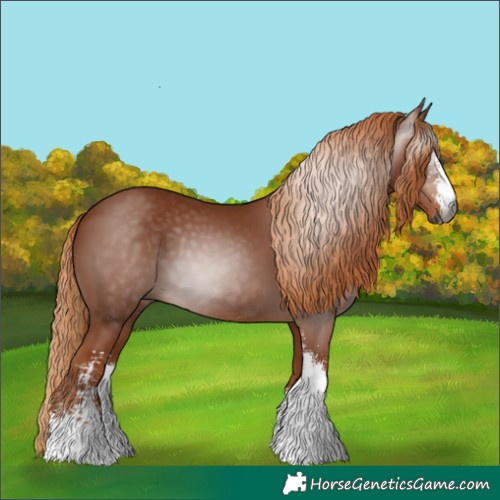 Horse Color:Gray Chestnut Sabino 