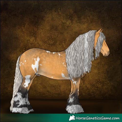 Horse Color:White Spotted Silver Buckskin 