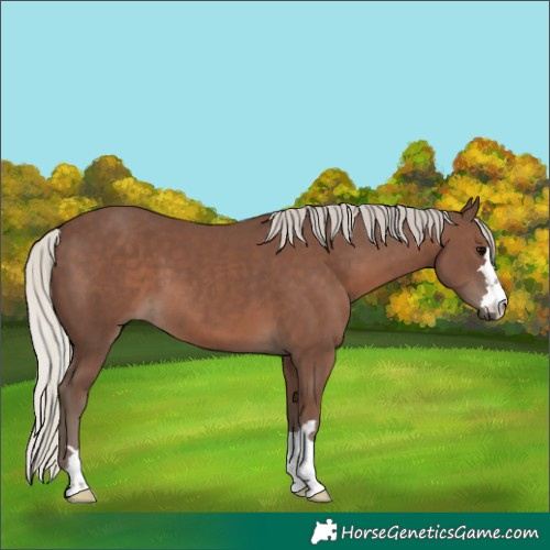 Horse Color:Silver Black 