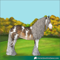 Horse Color:Silver Smoky Black Sabino