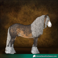 Horse Color:Silver Smoky Black Sabino 