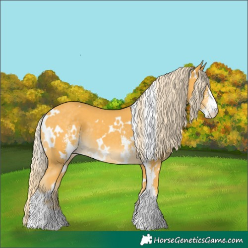Horse Color:White Spotted Palomino Sabino 