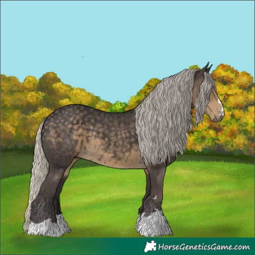 Horse Color:Silver Smoky Black 