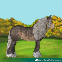 Horse Color:Silver Smoky Black
