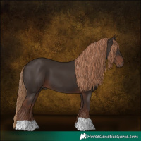 Horse Color:Liver Chestnut 