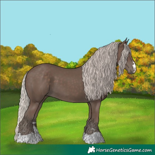 Horse Color:Silver Black 