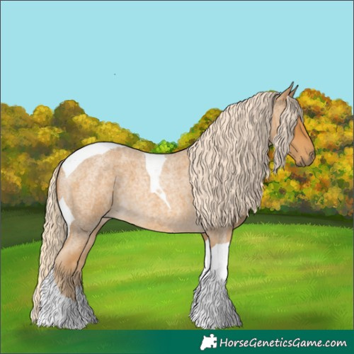 Horse Color:Palomino Roan Tobiano 