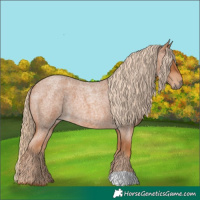 Horse Color:Red Roan 
