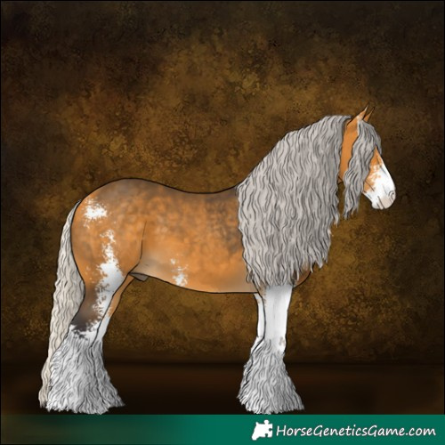 Horse Color:Silver Buckskin Sabino 