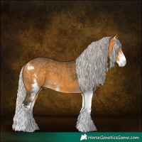 Horse Color:Silver Buckskin Sabino 