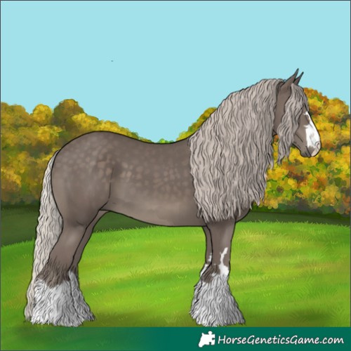 Horse Color:Silver Black 