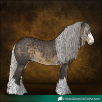 Horse Color:Silver Smoky Black 