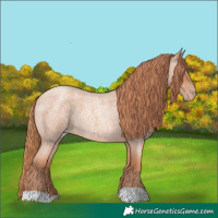 Horse Color:Gold Champagne Roan