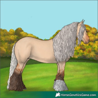 Horse Color:Silver Bay Dun 
