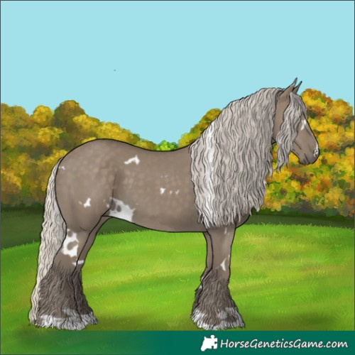 Horse Color:White Spotted Silver Smoky Grullo 