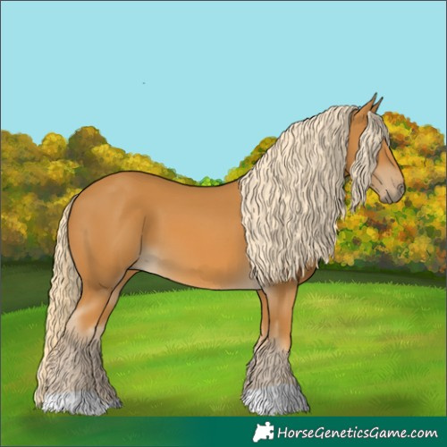 Horse Color:Palomino 