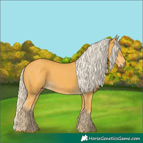 Horse Color:Palomino 