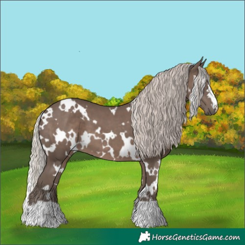 Horse Color:White Spotted Silver Black 