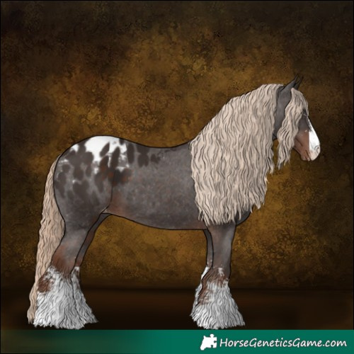 Horse Color:Liver Chestnut Sabino Blanket 