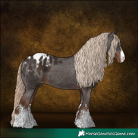 Horse Color:Liver Chestnut Sabino Appaloosa 