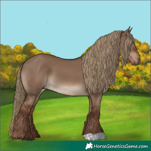 Horse Color:Liver Red Dun 