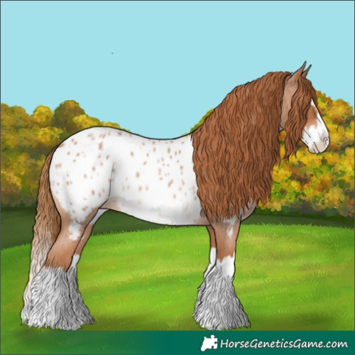 Horse Color:Red Roan Splash Near Leopard 