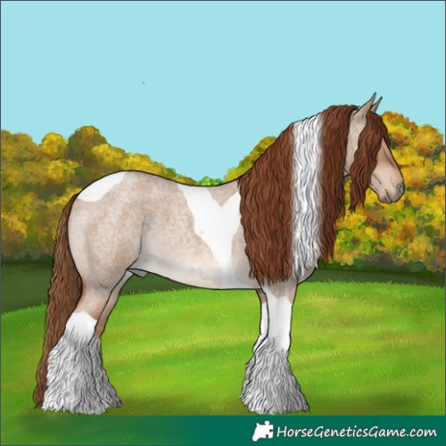 Horse Color:Red Dun Roan Tobiano 