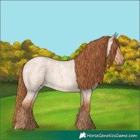 Horse Color:Red Dun Roan 