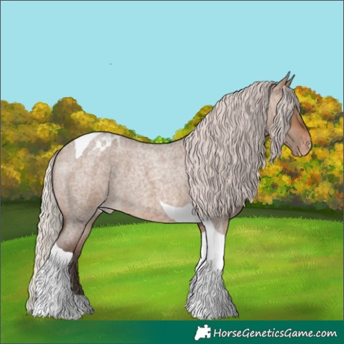 Horse Color:Silver Brown Roan Dun Tobiano Appaloosa 