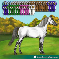 Horse Color:Liver Chestnut Mushroom Near Fewspot 