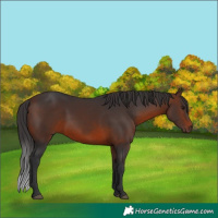 Horse Color:Brown 