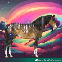 Horse Color:Powder White Buckskin 