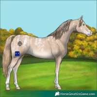 Horse Color:Powder White Perlino 