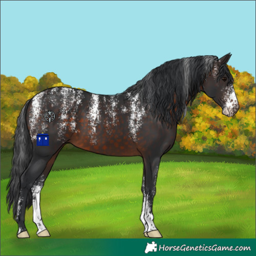 Horse Color:Powder White Brown 