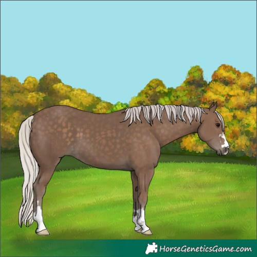 Horse Color:Silver Black 