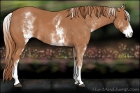 Horse Color:White Spotted Chestnut Sabino Frame 