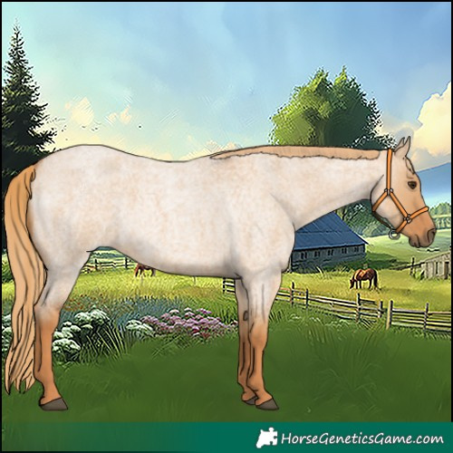 Horse Color:Red Dun Roan 