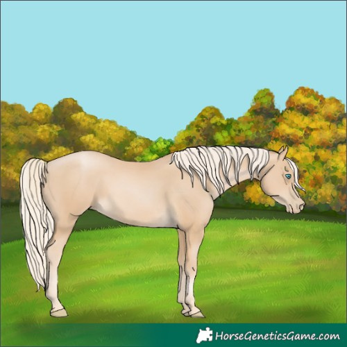 Horse Color:Palomino Pearl 