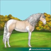 Horse Color:Silver Buckskin Pearl Splash Tobiano