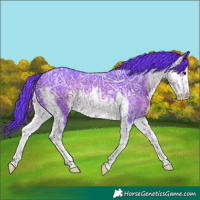 Horse Color:Watercolor White Spotted Bay Ice
