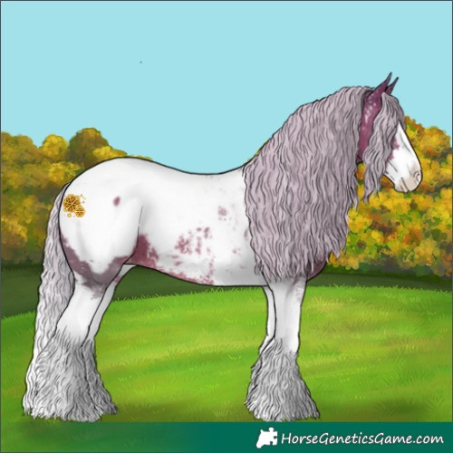 Horse Color:Silver Brown Mushroom Sabino Splash Tobiano Appaloosa 