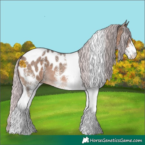 Horse Color:White Spotted Silver Brown Mushroom Tobiano Appaloosa 