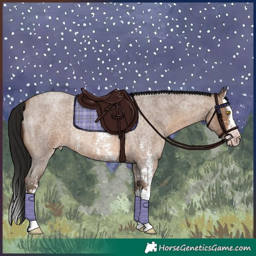 Horse Color:Gray Amber Champagne Roan Sabino Splash Rabicano 