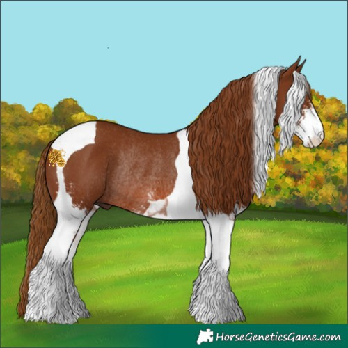 Horse Color:Chestnut Sabino Tobiano Rabicano 