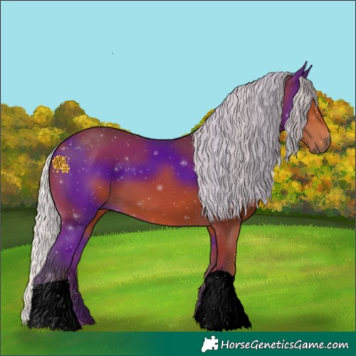 Horse Color:Void Silver Bay 