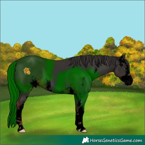 Horse Color:Void Liver Chestnut Sabino 