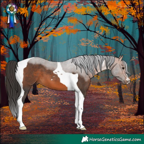 Horse Color:Bay Tobiano 