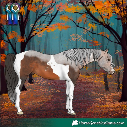 Horse Color:Bay Tobiano 