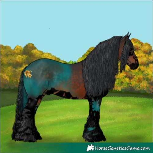 Horse Color:Void Brown Splash 
